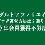 アダルトアフィリエイトブログは「作品紹介広告収入」「会員獲得不労所得収入」２種類の運営方法がある