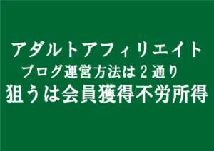 アダルトアフィリエイトブログは「作品紹介広告収入」「会員獲得不労所得収入」２種類の運営方法がある