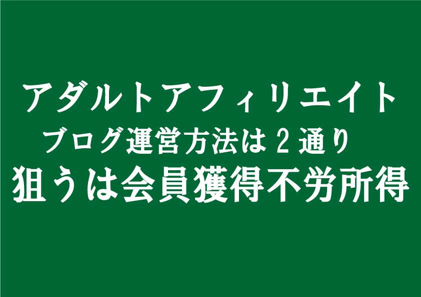 アダルトアフィリエイトブログは「作品紹介広告収入」「会員獲得不労所得収入」2種類の運営方法がある