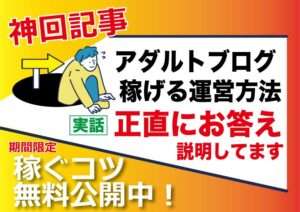 アダルトアフィリエイトブログの運営方法の10の質問|稼げない訳がない「Q&A」を大公開