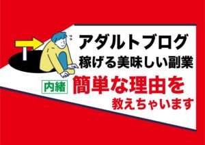 アダルトジャンルで簡単にお金を稼ぐ副業はブログ運営|エロ動画が好きな人は成功する美味しい仕事