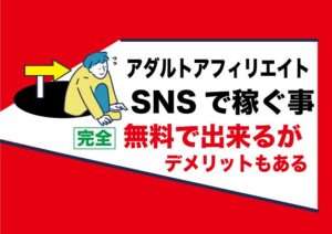 SNSアダルトアフィリエイト広告でお金を稼ぐ副業｜ブログ運営と比べて長所と短所｜メリット・デメリット